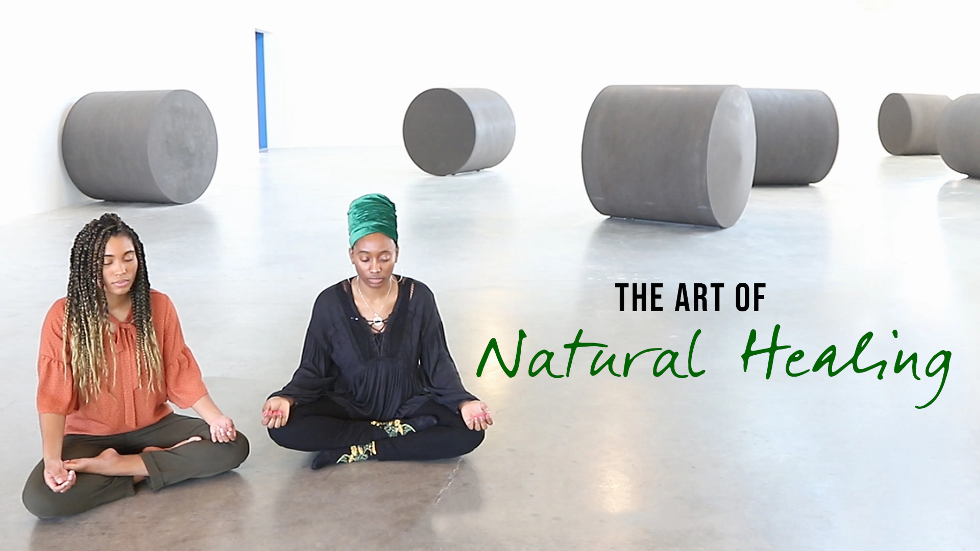 The Art of Natural Healing poster